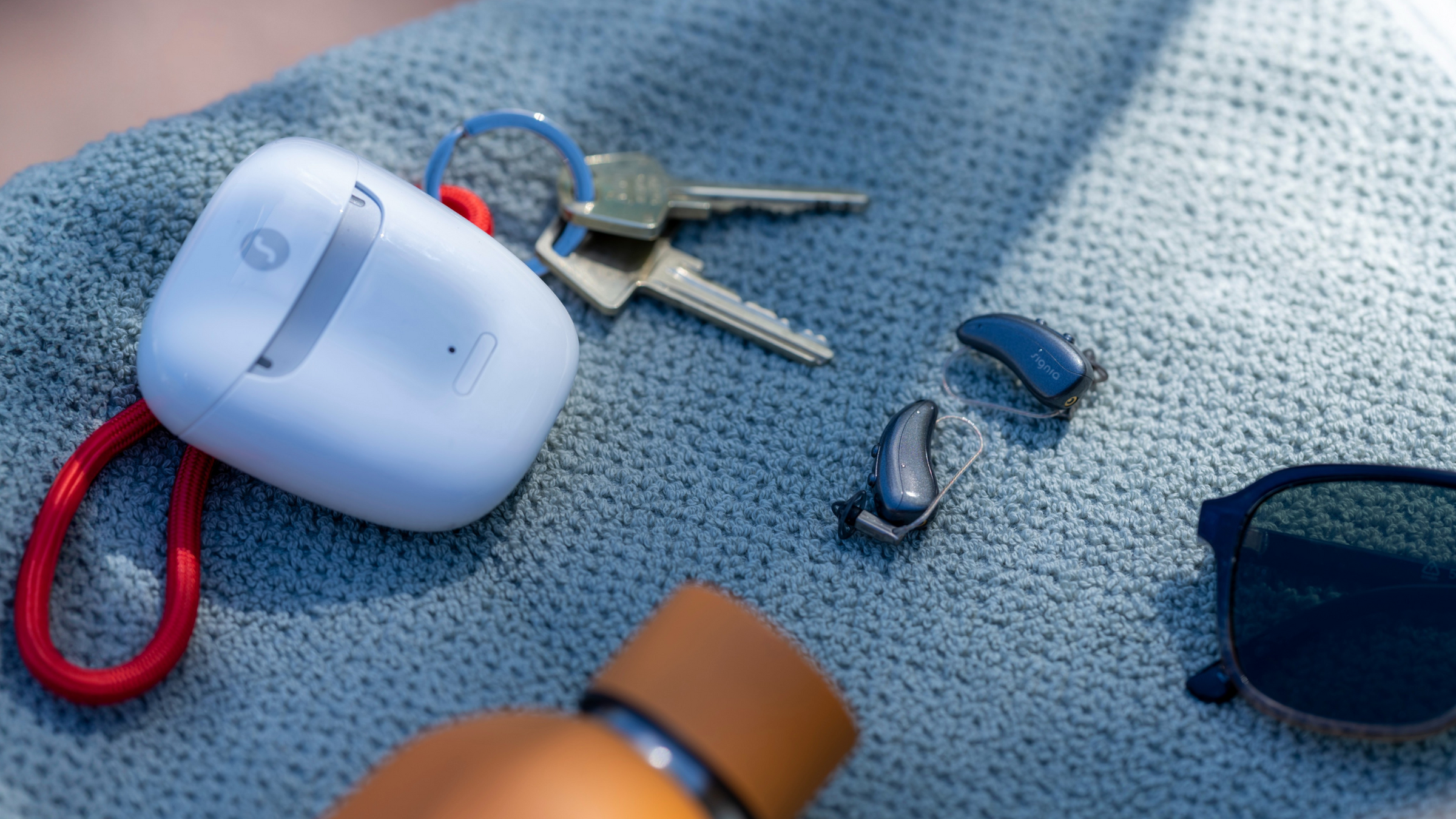 signia-pure-c&g-travel-charger